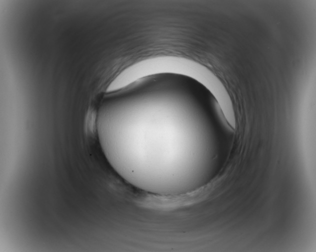 X0000083550041200703091604