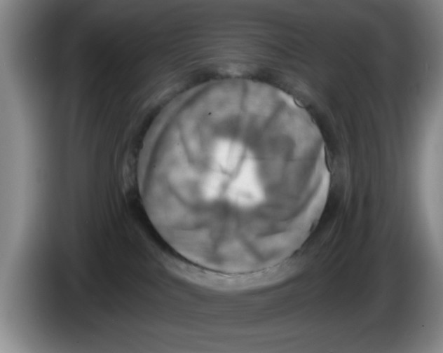 X0000083550043200703091604
