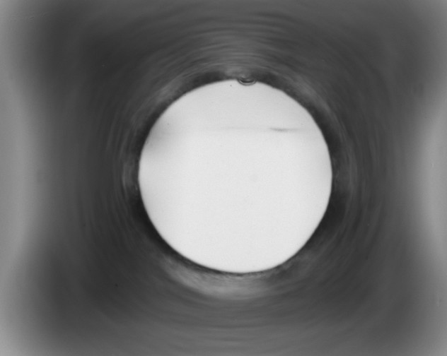X0000083550044200703091604