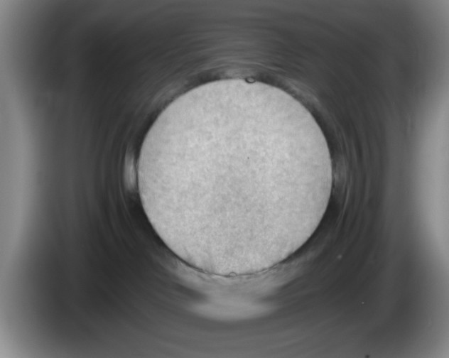 X0000083550046200703091604