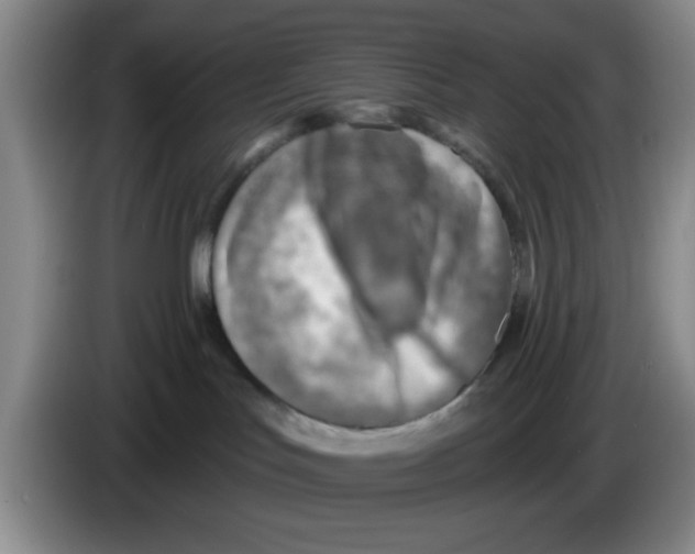 X0000083550047200703091604
