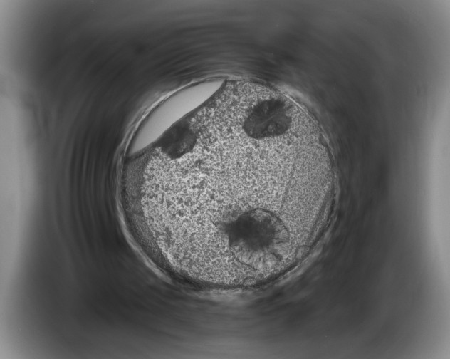 X0000083550049200703091603