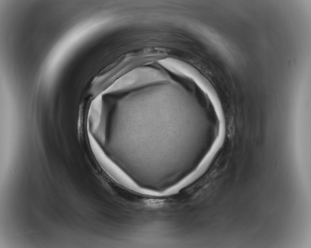 X0000083550052200703091603