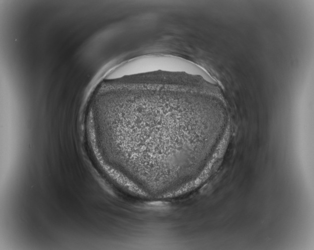X0000083550053200703091603