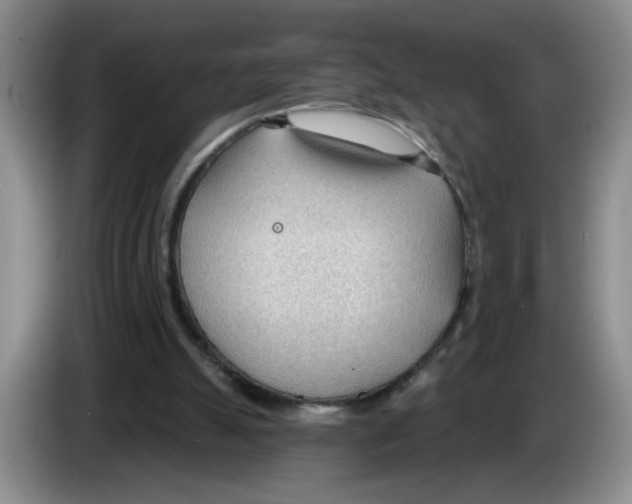 X0000083550055200703091603