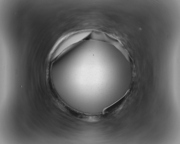 X0000083550056200703091603