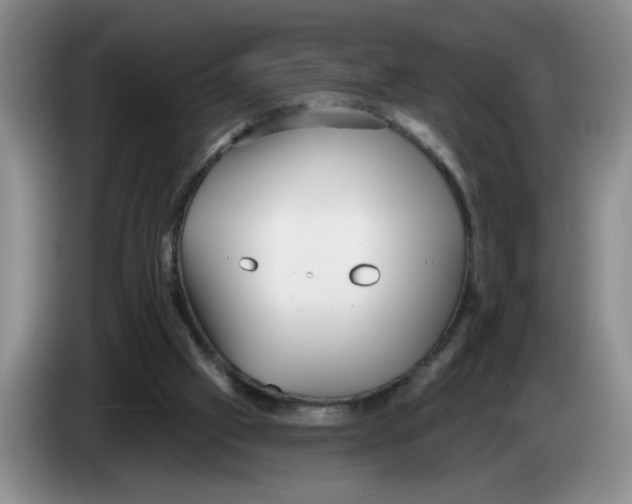 X0000083550057200703091603