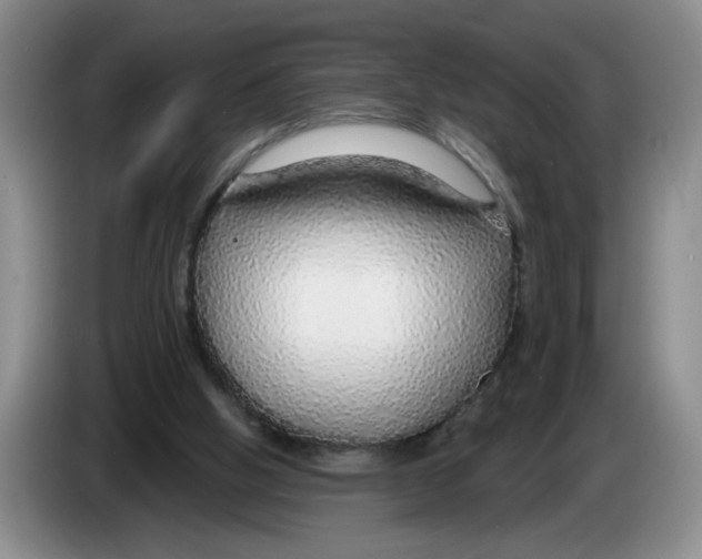 X0000083550058200703091603