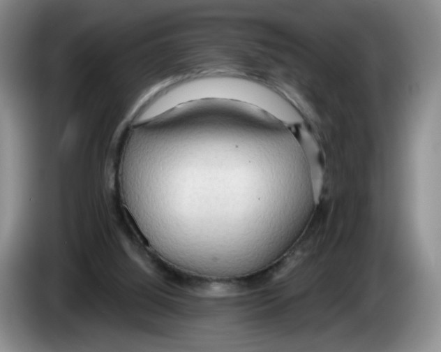 X0000083550060200703091603