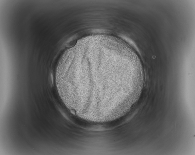 X0000083550061200703091603
