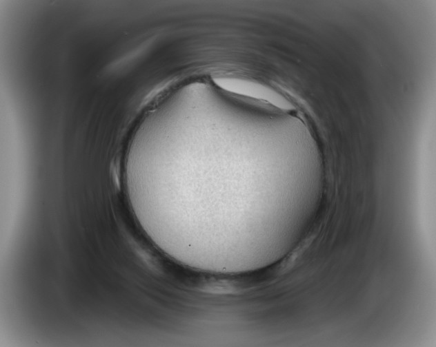 X0000083550062200703091603