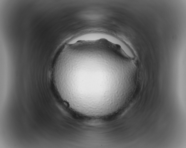X0000083550063200703091603