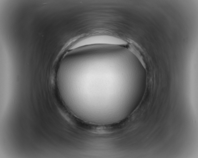 X0000083550064200703091604