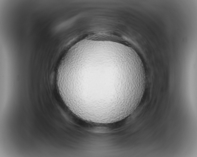 X0000083550066200703091604