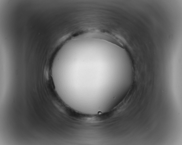 X0000083550068200703091604