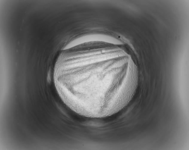 X0000083550069200703091604