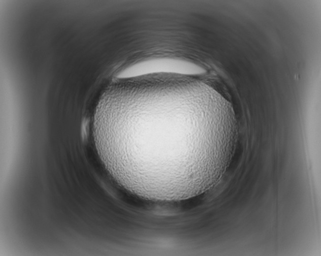 X0000083550070200703091604