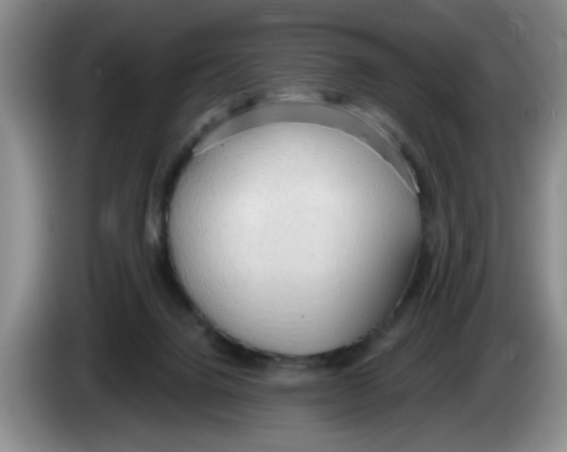 X0000083550072200703091604
