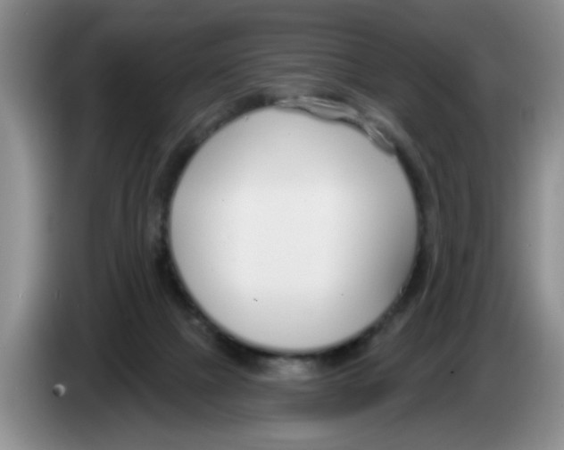 X0000083550073200703091604