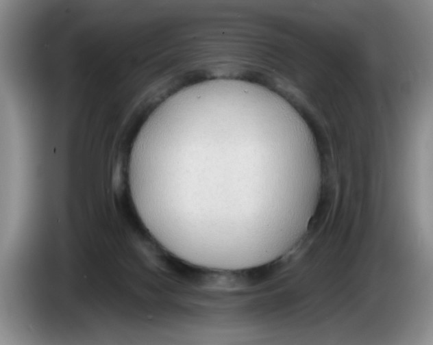 X0000083550074200703091604