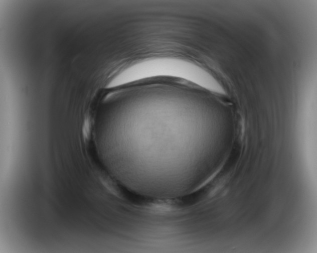 X0000083550076200703091604