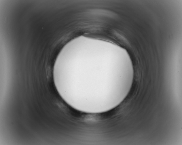 X0000083550077200703091604