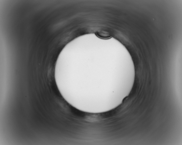 X0000083550079200703091604