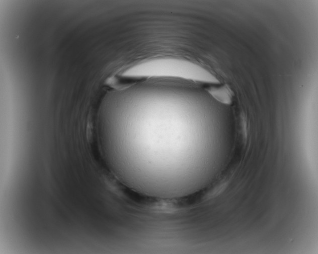 X0000083550080200703091604