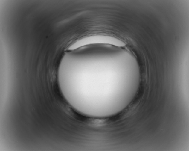 X0000083550081200703091604