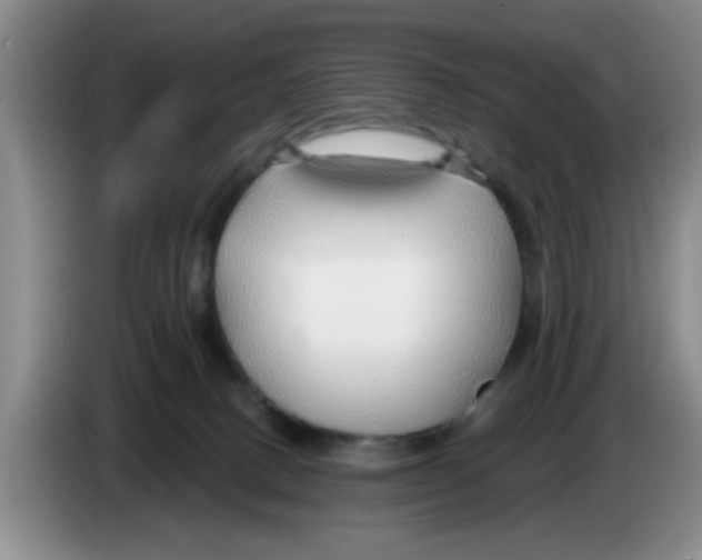 X0000083550082200703091604