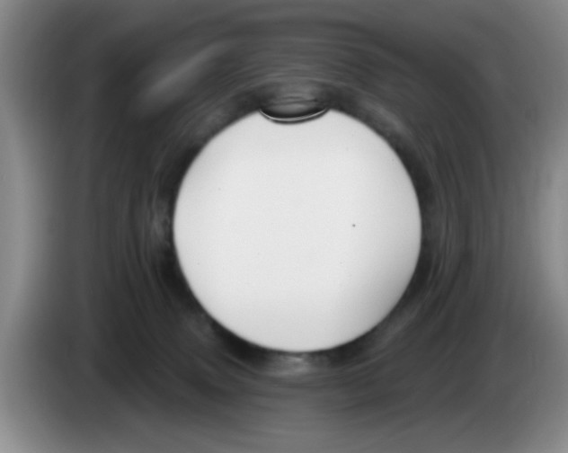 X0000083550083200703091604