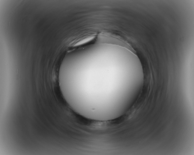 X0000083550084200703091604