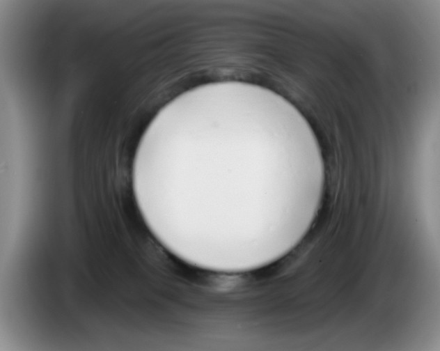X0000083550085200703091604
