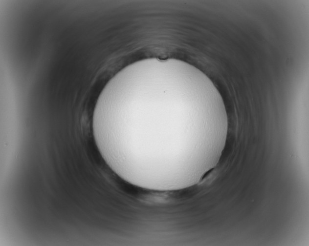 X0000083550086200703091604