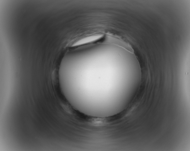 X0000083550088200703091604