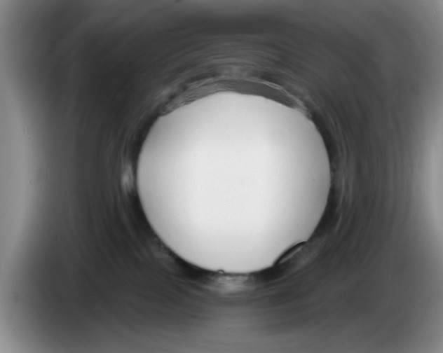 X0000083550089200703091604