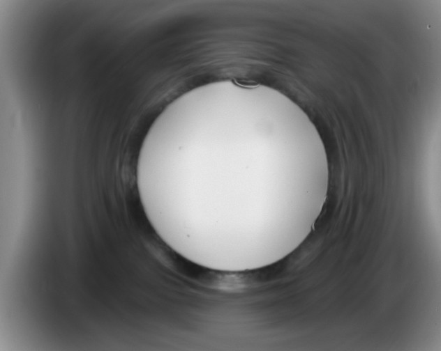 X0000083550091200703091604