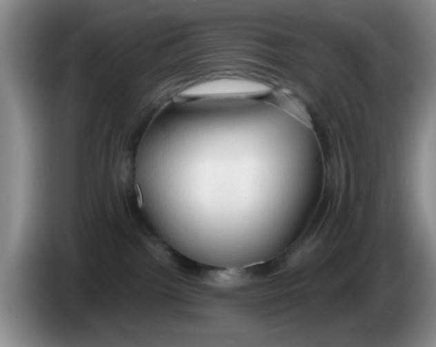 X0000083550092200703091604