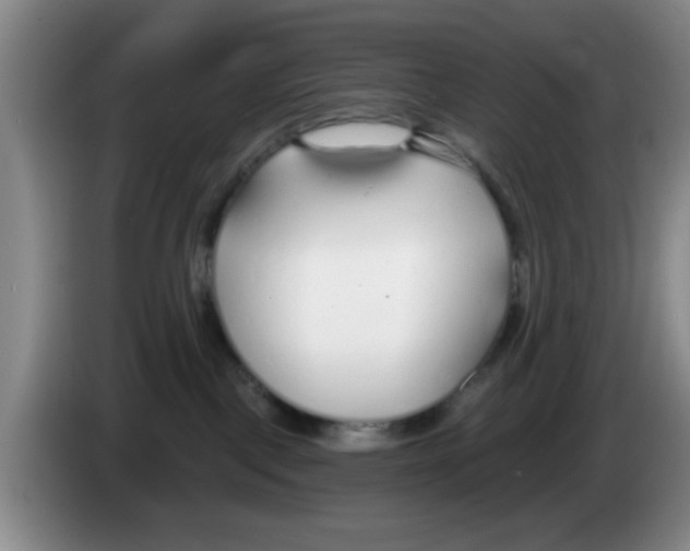 X0000083550093200703091604