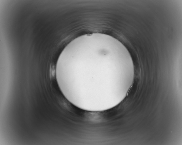 X0000083550095200703091604
