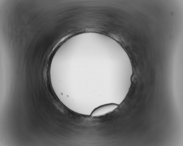 X0000083550098200703091603