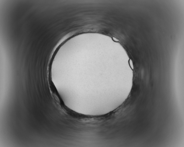 X0000083550100200703091603