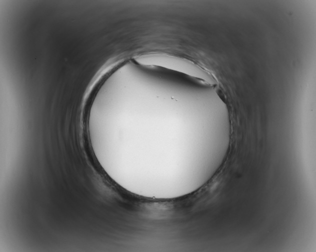X0000083550102200703091603