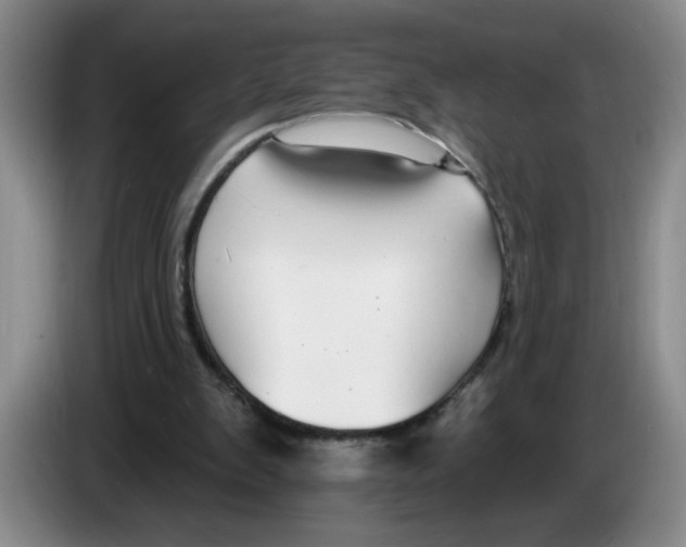 X0000083550103200703091603