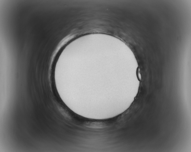 X0000083550104200703091603