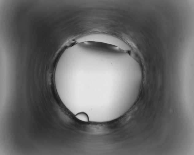 X0000083550106200703091603