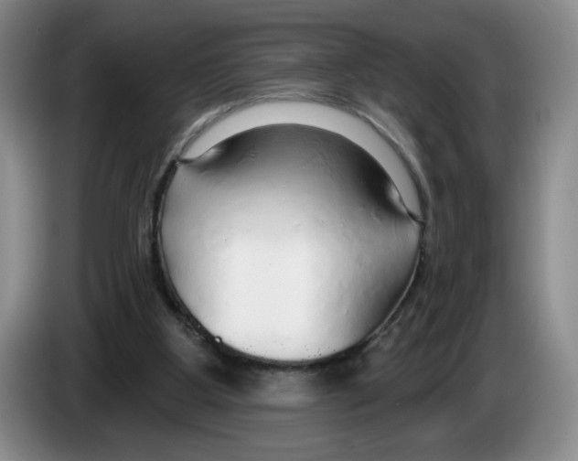X0000083550107200703091603