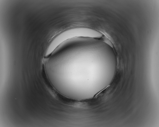 X0000083550109200703091603