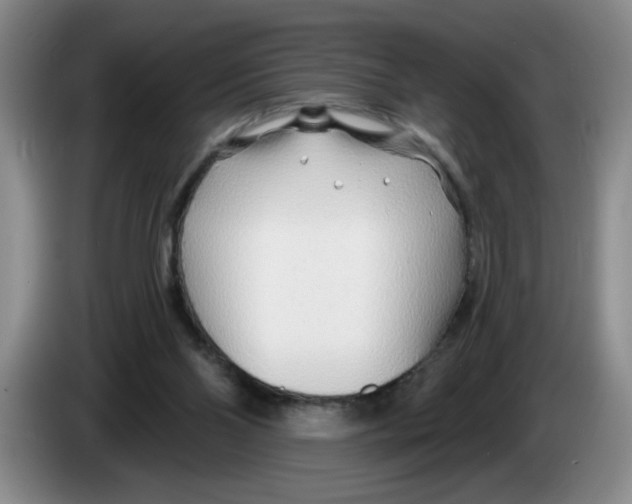 X0000083550110200703091603