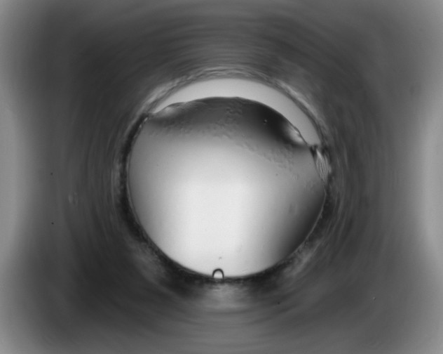 X0000083550111200703091603